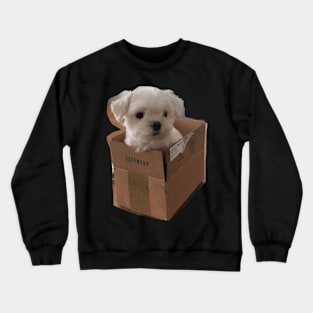 maltese Crewneck Sweatshirt